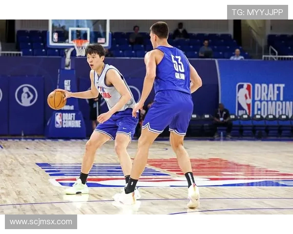 篮球之路：从街头巷尾到NBA赛场的梦想与拼搏