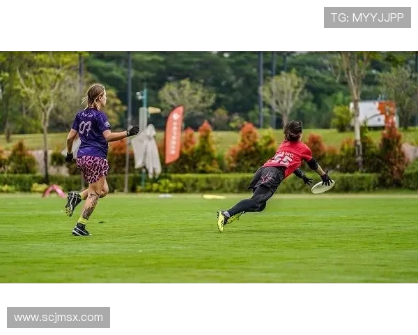 南京飞盘队在世界滑板锦标赛中的崛起与成长历程全景揭秘